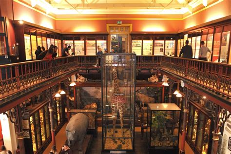 Ipswich Museum: Unearthing History and Exploring Natural Wonders!