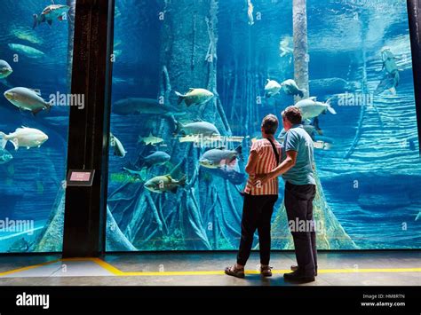  Parque Explora: Immersive Science Museum and Home to Colombia's Largest Aquarium!