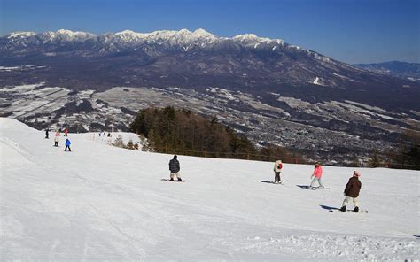 富士見パノラマリゾート天気と、なぜカエルは空を飛べないのか