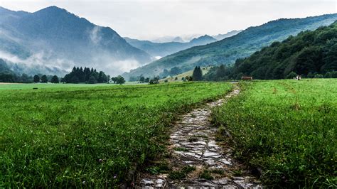 Mount Funiu Hiking Trails: Ancient Pathways Leading To Breathtaking Views!