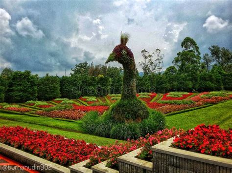 The Taman Bunga Nusantara! A Vibrant Symphony of Floral Beauty and Cultural Delights